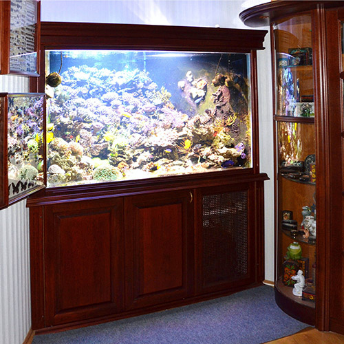 обслуживание и изготовление аквариумов в Москве